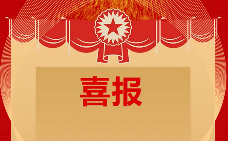 会员风采录：热烈：匚一岣被岢さノ还愣玌8国际化学股份有限公司荣获2024年广东省服务型制造示范企业！
